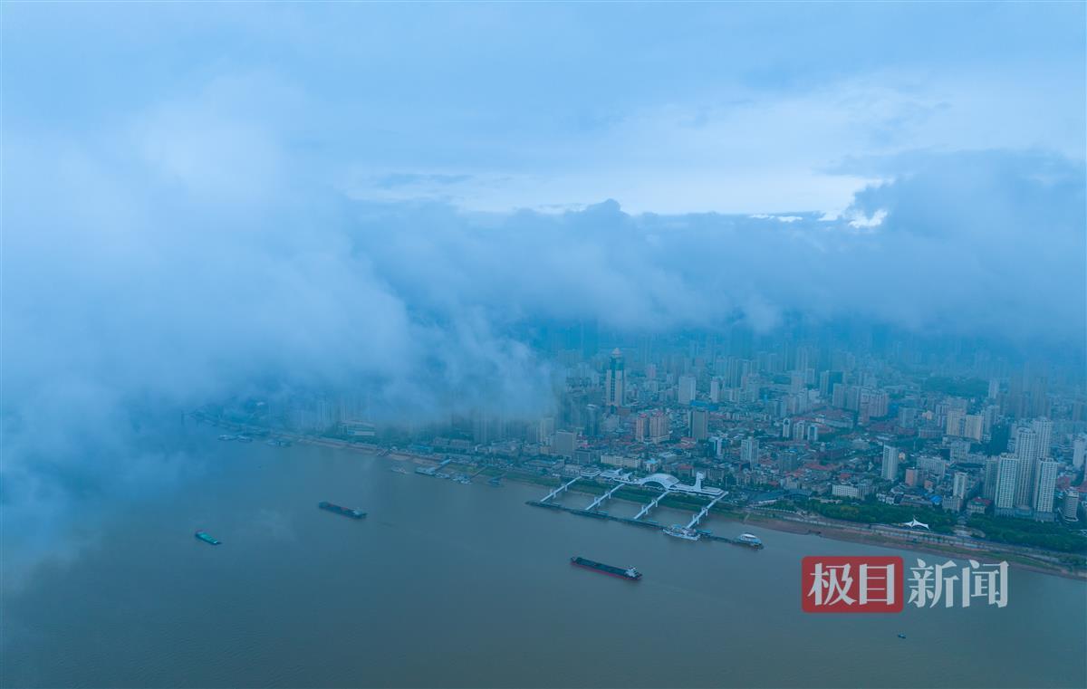大宝娱乐网